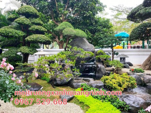 Đơn Vị Cung Cấp Cây Xanh Bóng Mát Giá Rẻ Tại Thái Bình - Liên hệ 968.132.286