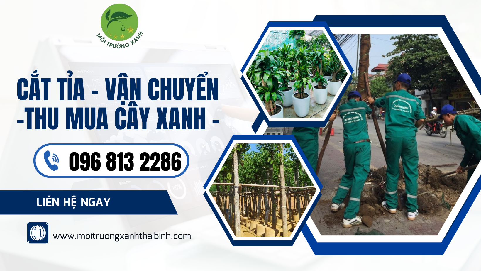 Cây Xanh Đô Thị Thái Bình – Hotline 096 813 2286: Nâng Tầm Chất Lượng Sống, Kiến Tạo Thành Phố Xanh Bền Vững!