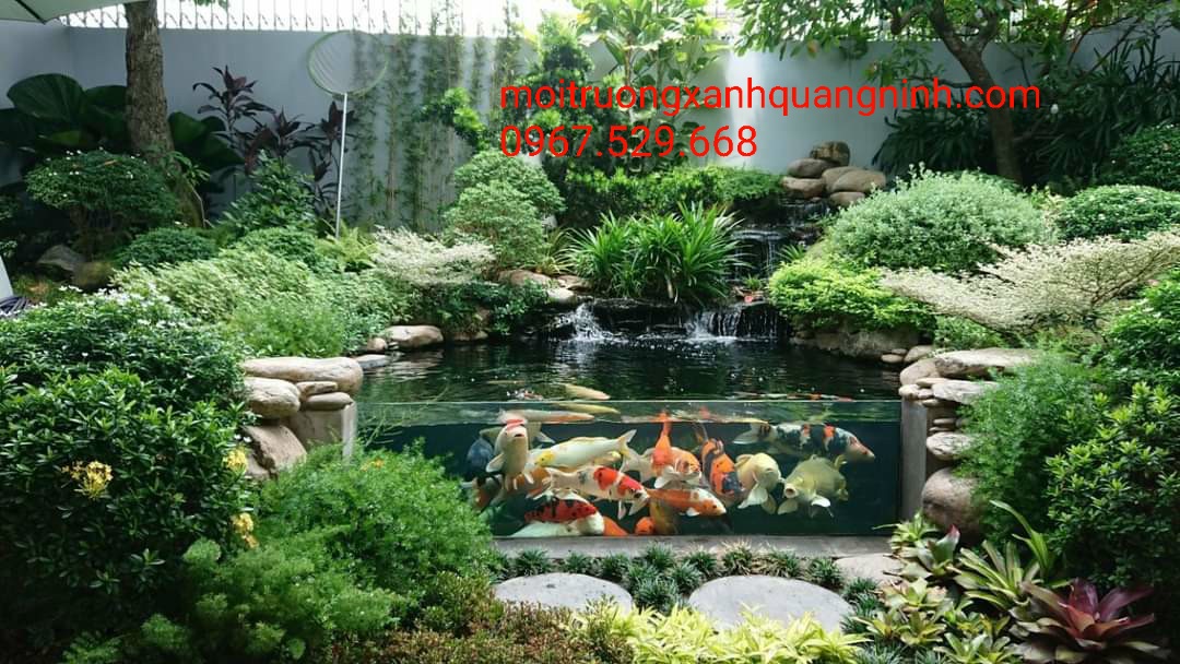 CUNG CẤP CÂY XANH CHẤT LƯỢNG - NHẬN TRỒNG CÂY BẢO HÀNH SỐ 1 TẠI THÀNH PHỐ THÁI BÌNH