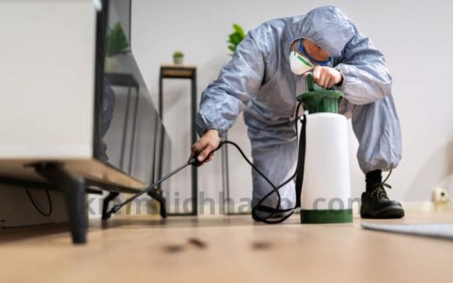 Diệt mối tận gốc cho Bệnh viện ở Thái Bình – Hotline 096 813 2286: Bảo vệ sức khỏe, môi trường sạch khuẩn!