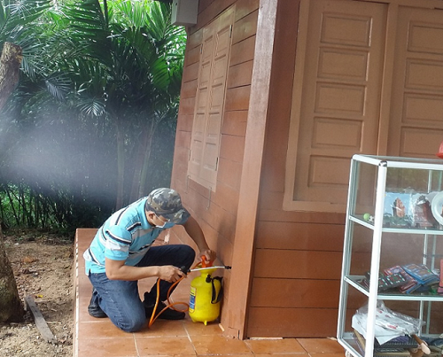  Bảo Vệ Công Trình Vững Chắc: Gọi Ngay 096 813 2286 - Diệt Mối Xây Dựng Tại Thái Bình - Môi Trường Xanh Uy Tín!