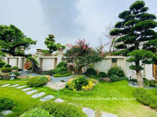 Thi Công Cây Xanh Thái Bình: Đánh Thức Vẻ Đẹp Tiềm Ẩn Của Không Gian Liên hệ 0968.132.286