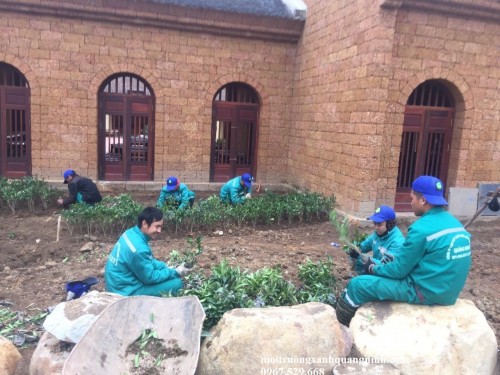 [SÁNG TẠO - ĐỘC ĐÁO] Gọi Ngay! Thiết Kế Cảnh Quan Thái Bình Chuyên Nghiệp - Môi Trường Xanh TB: 096 813 2286