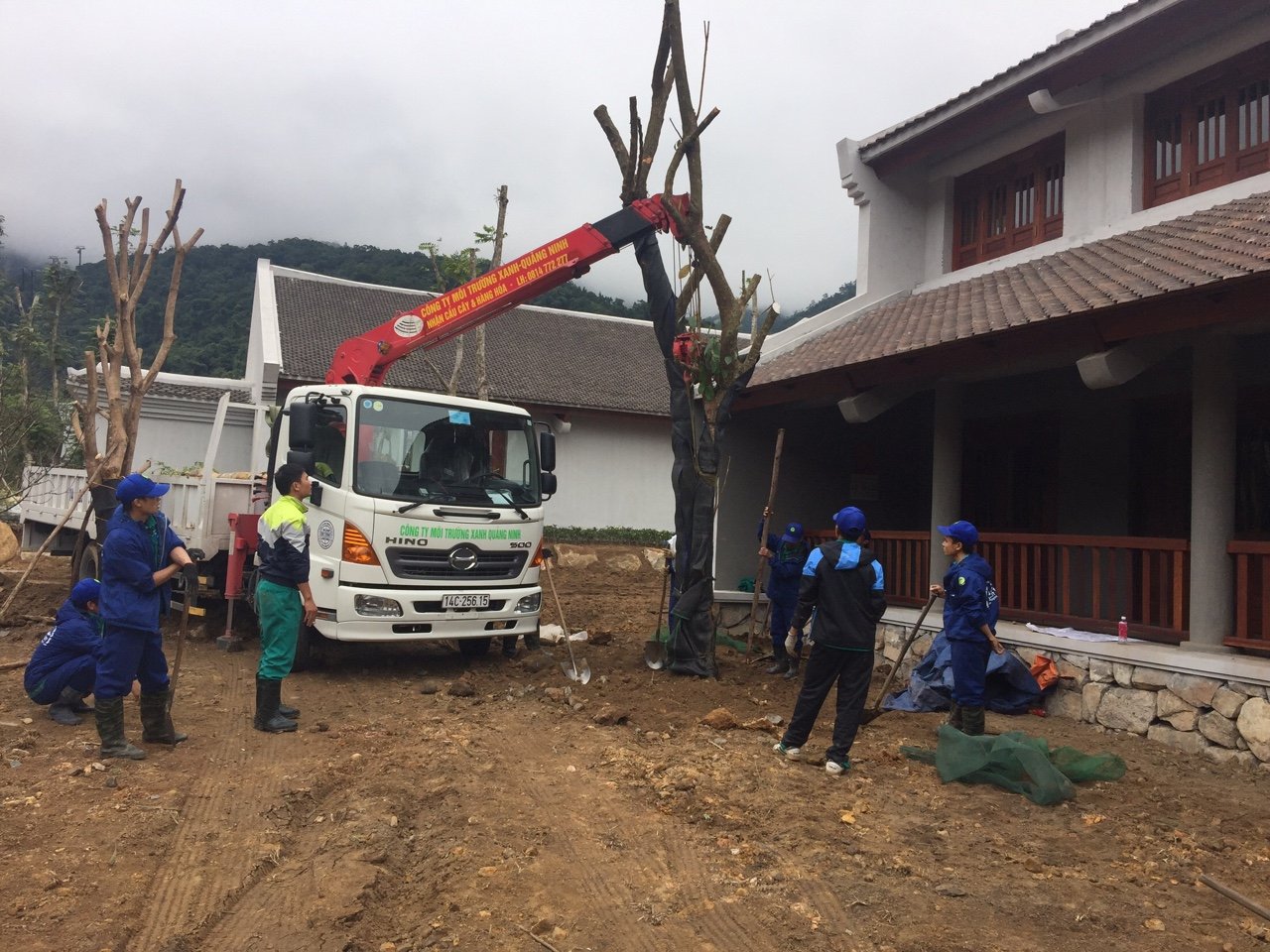 Cẩu Tadano Thái Bình - Dịch Vụ Cho Thuê Cẩu Chuyên Nghiệp Từ Môi Trường Xanh 096 813 2286