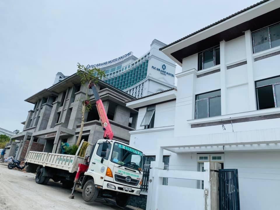 Nâng Hạ Hàng Hóa Thái Bình: Giải Pháp Chuyên Nghiệp Với Dịch Vụ Cho Thuê Cẩu Hạng Nặng Từ Môi Trường Xanh Thái Bình – Gọi Ngay 096 813 2286!