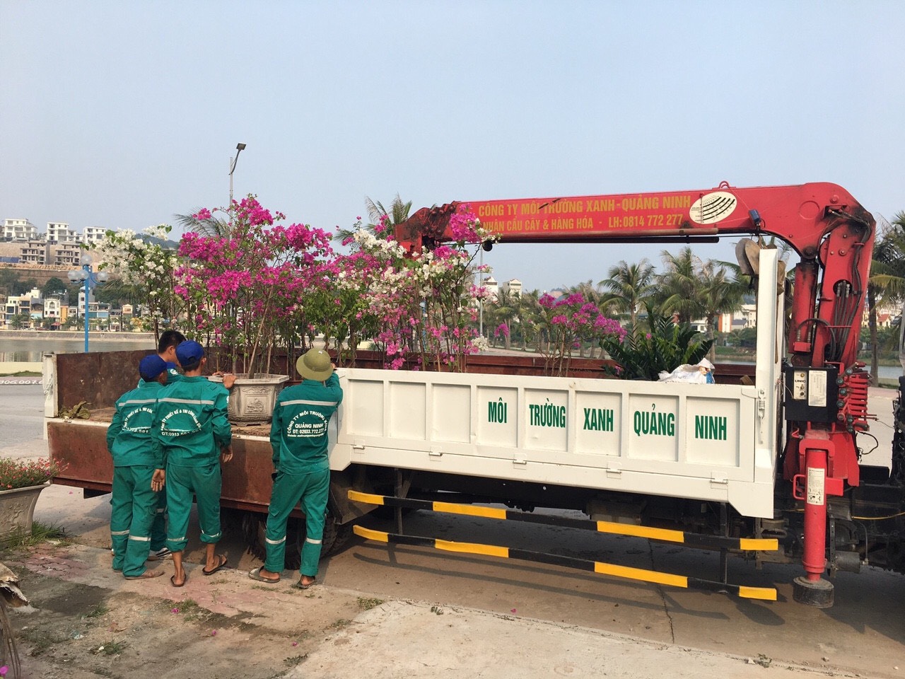 Vận Chuyển Cẩu Hạng Nặng Thái Bình - Chuyên Nghiệp & An Toàn 096 813 2286