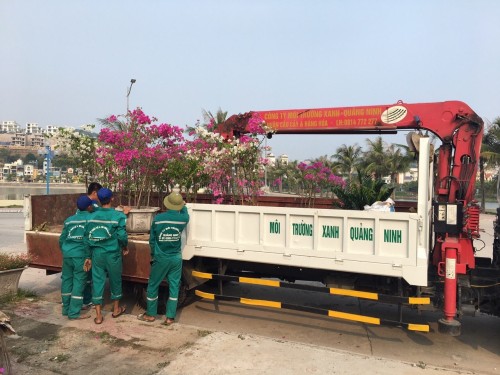 Vận Chuyển Cẩu Hạng Nặng Thái Bình - Chuyên Nghiệp & An Toàn 096 813 2286