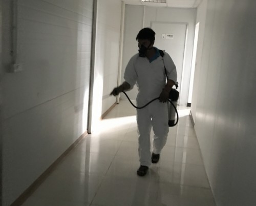 Dịch Vụ Diệt Mối Tận Gốc Cho Công Trình Gỗ #1 Thái Bình - Gọi Ngay 096 813 2286