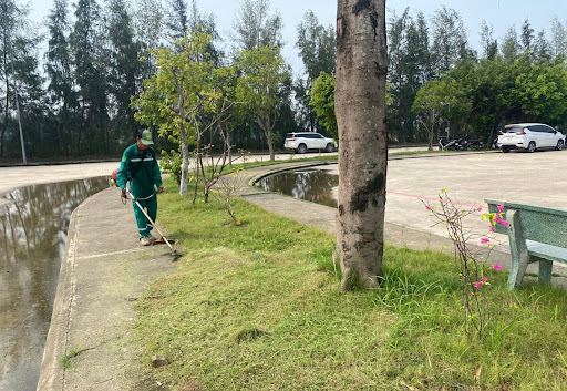 Dọn dẹp chăm sóc cây cảnh công viên