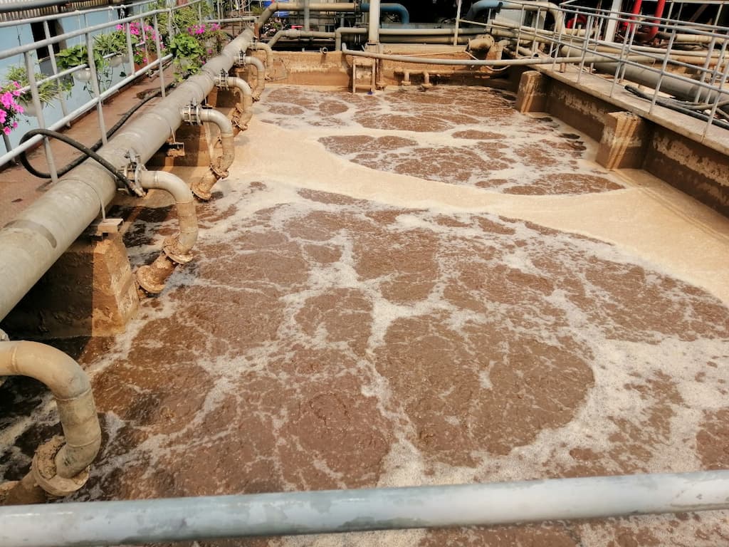 Ứng dụng bùn men vi sinh trong xử lý nước thải