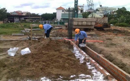 Diệt Côn Trùng Thái Bình - Giải Pháp Hiệu Quả Cho Môi Trường Sống An Toàn - Gọi Ngay 096 813 2286