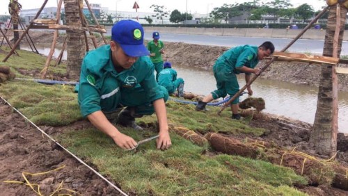 Công Ty Thiết Kế Cảnh Quan Chuyên Nghiệp | Môi Trường Xanh - Thái Bình