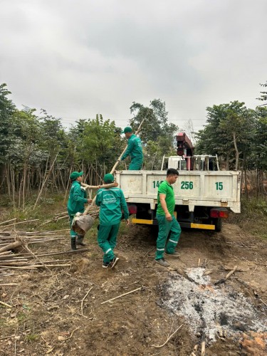 Cung Cấp Cây Xanh Tại Thái Bình: Kiến Tạo Không Gian Sống Xanh, Trong Lành Cùng Môi Trường Xanh Thái Bình – Gọi Ngay 096 813 2286!