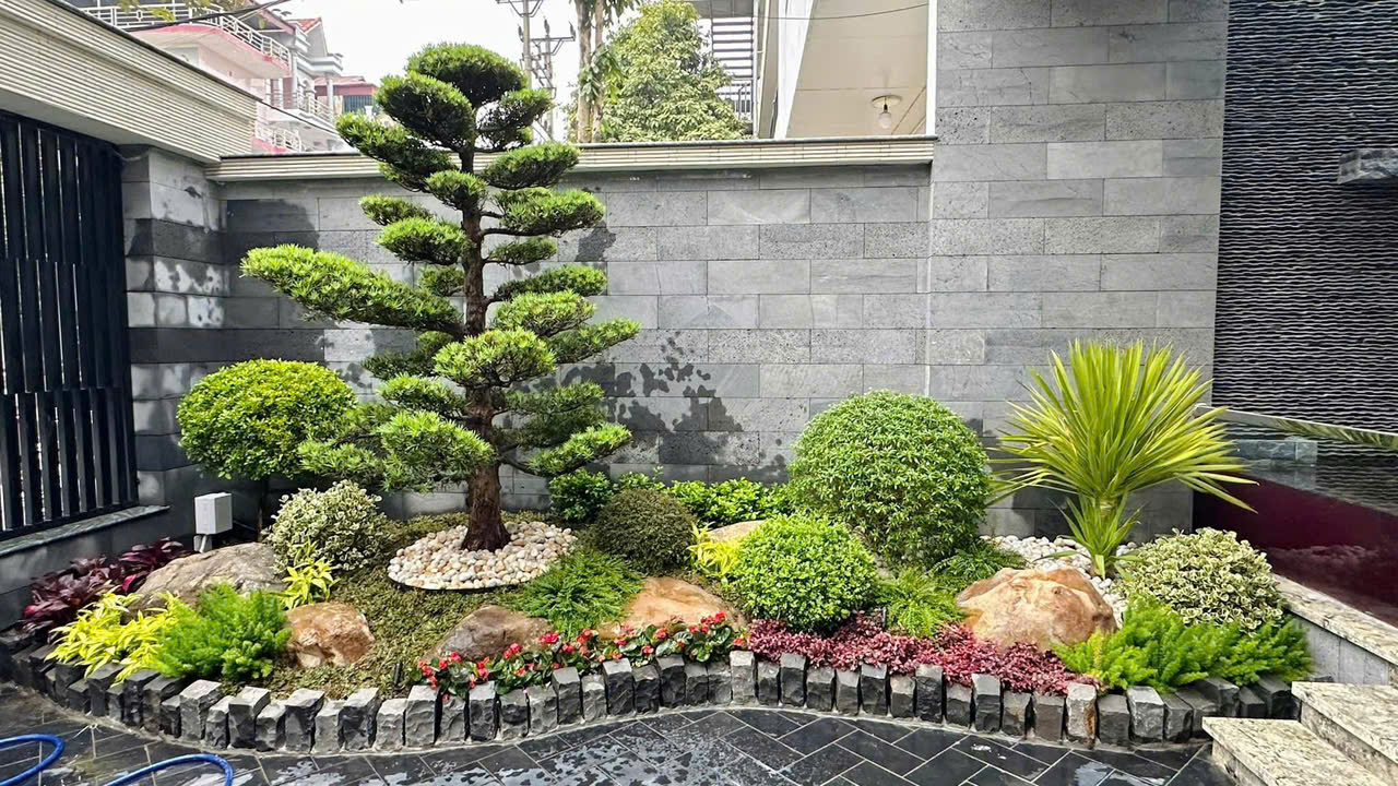 Bán, Cung Cấp Cây Xanh Công Trình Tại Thái Bình - Uy Tín, Chất Lượng Liên hệ: 0968.132.286