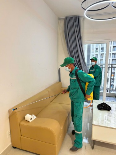 Dịch Vụ Diệt Muỗi Ở Thái Bình – Phun Thuốc Muỗi An Toàn, Hiệu Quả Tận Gốc – Gọi Ngay 096 813 2286