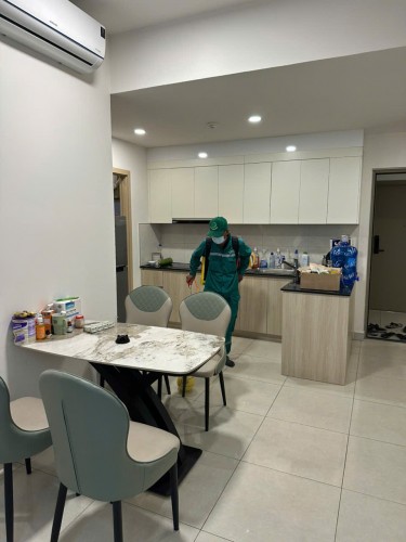 Dịch Vụ Diệt Muỗi, Kiến Tại Kiến Xương, Thái Bình – Bảo Vệ Gia Đình & Cộng Đồng Khỏi Côn Trùng Gây Hại Cùng Môi Trường Xanh Thái Bình – Gọi Ngay 096 813 2286!