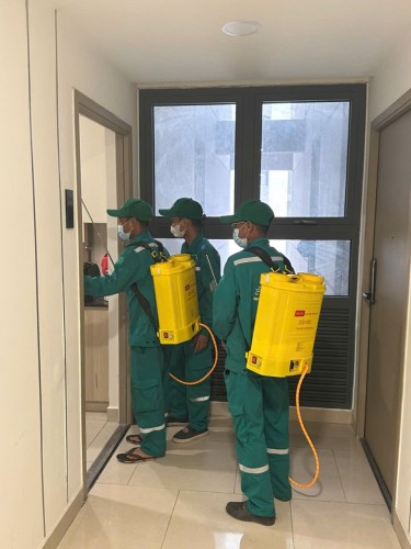  Cứu Tinh Diệt Muỗi Đông Hưng: Gọi Ngay 096 813 2286 - Môi Trường Xanh Phun Thuốc An Toàn, Không Lo Dịch Bệnh!