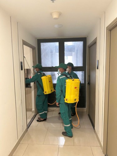 Dịch Vụ Diệt Muỗi Đông Hưng Thái Bình – An Toàn, Hiệu Quả Tận Gốc – Gọi Ngay 096 813 2286