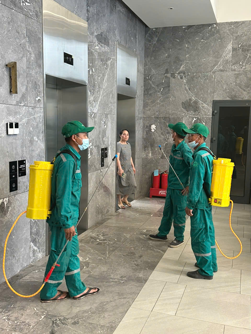 Dịch Vụ Diệt Muỗi Thái Thụy Thái Bình – Bảo Vệ Sức Khỏe, An Toàn Tuyệt Đối! Hotline: 096 813 2286