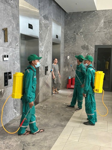 Dịch Vụ Diệt Muỗi Thái Thụy Thái Bình – Bảo Vệ Sức Khỏe, An Toàn Tuyệt Đối! Hotline: 096 813 2286