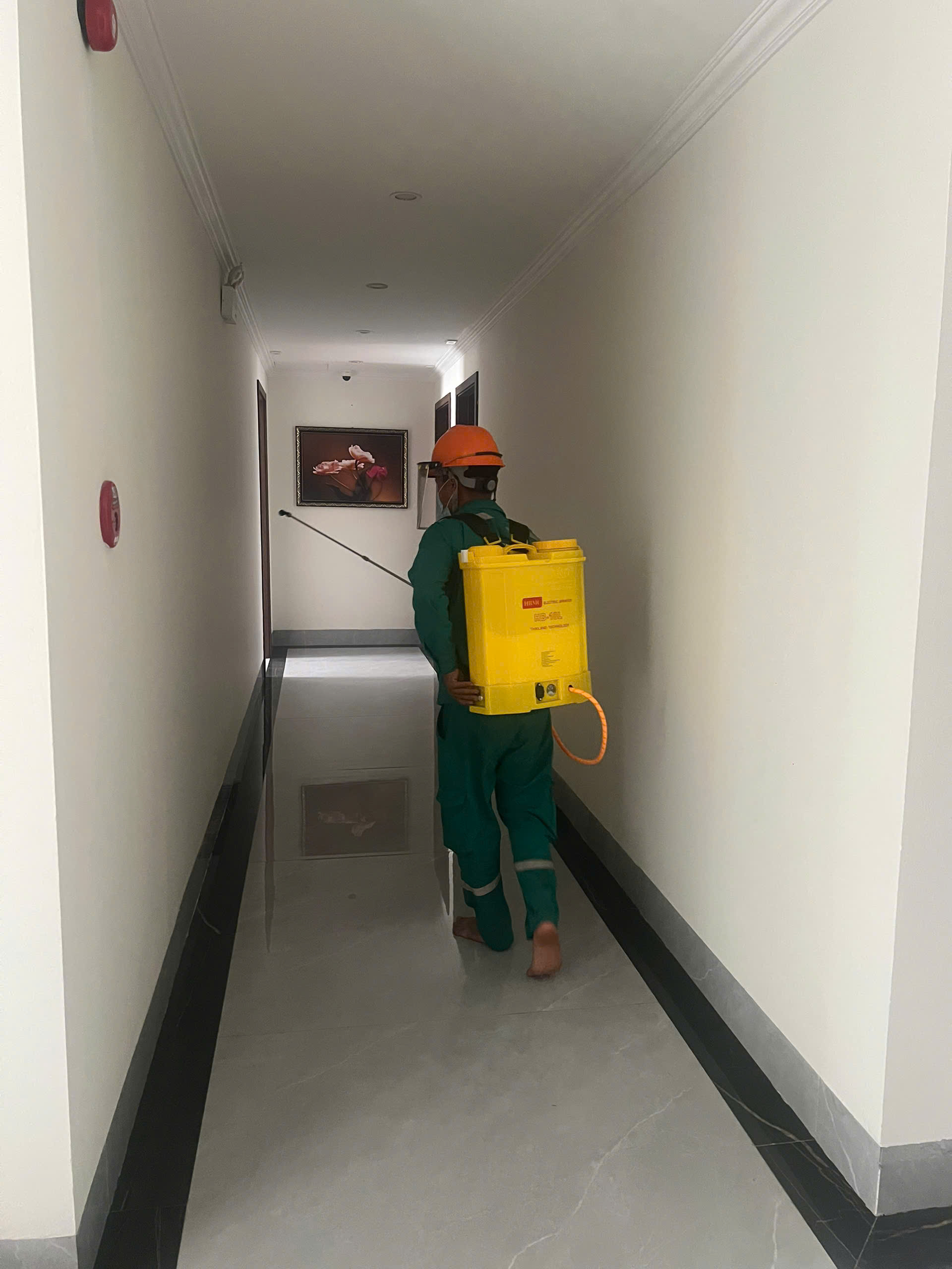 Diệt Muỗi Cho Trường Học – Hotline 096 813 2286: Bảo Vệ Sức Khỏe Học Sinh, Tạo Môi Trường Học Tập An Toàn!