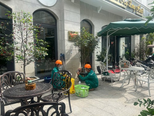 Diệt Muỗi Cho Nhà Hàng – Hotline 096 813 2286: Giúp Quán Ăn Luôn Sạch Sẽ, Khách Hàng Hài Lòng!